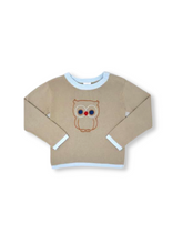 Load image into Gallery viewer, Cozy Up Sweater - Boy Owl
